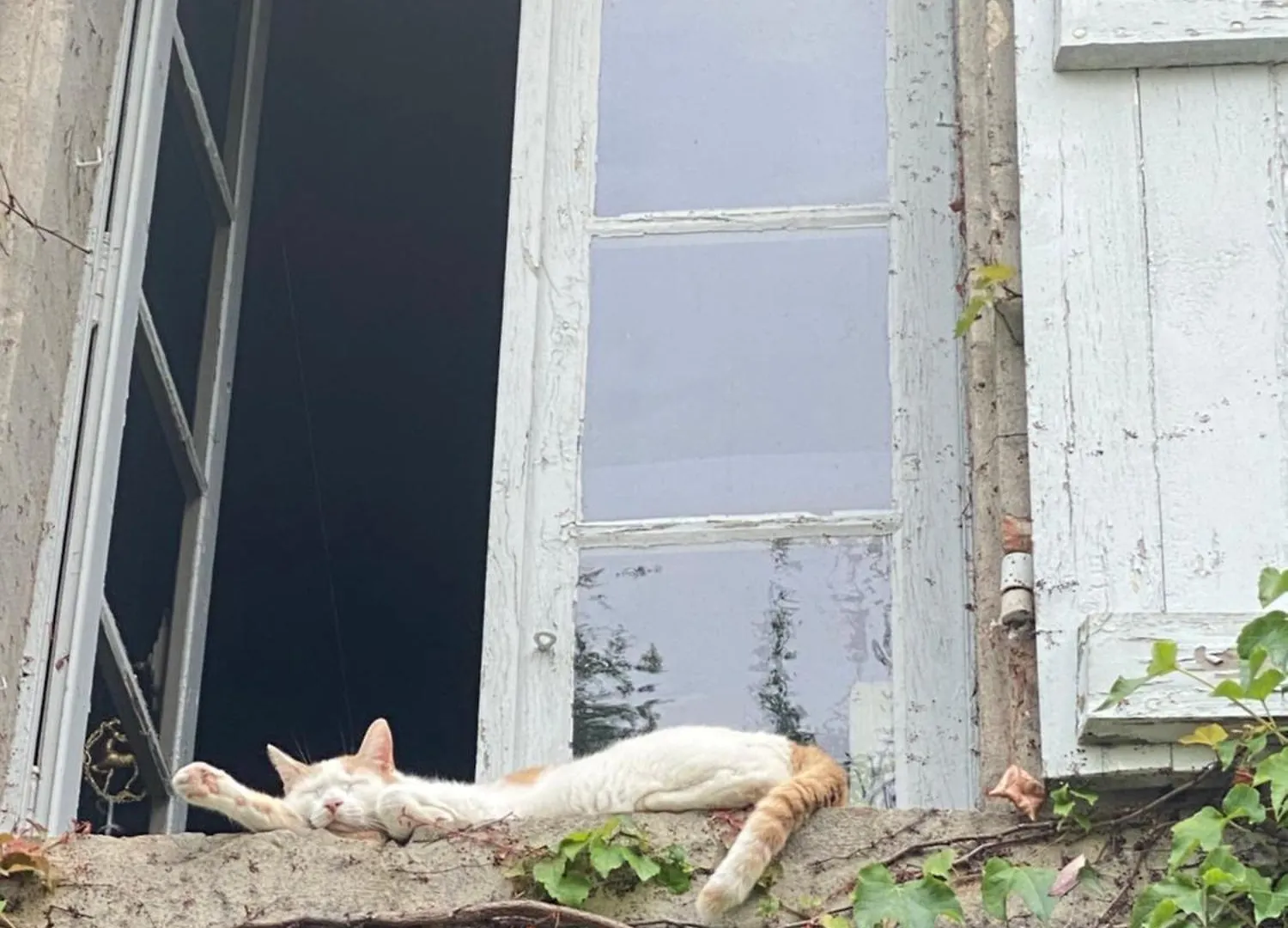 فندق مبيت وإفطار مبيت وإفطار مْواساك Au Jardin Y فرنسا